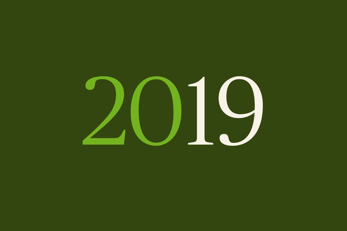 2019 Report (in Catalan)