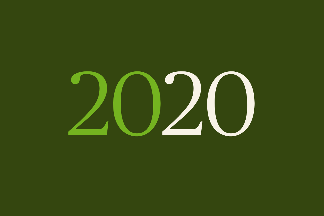 2020 Report (in Catalan)